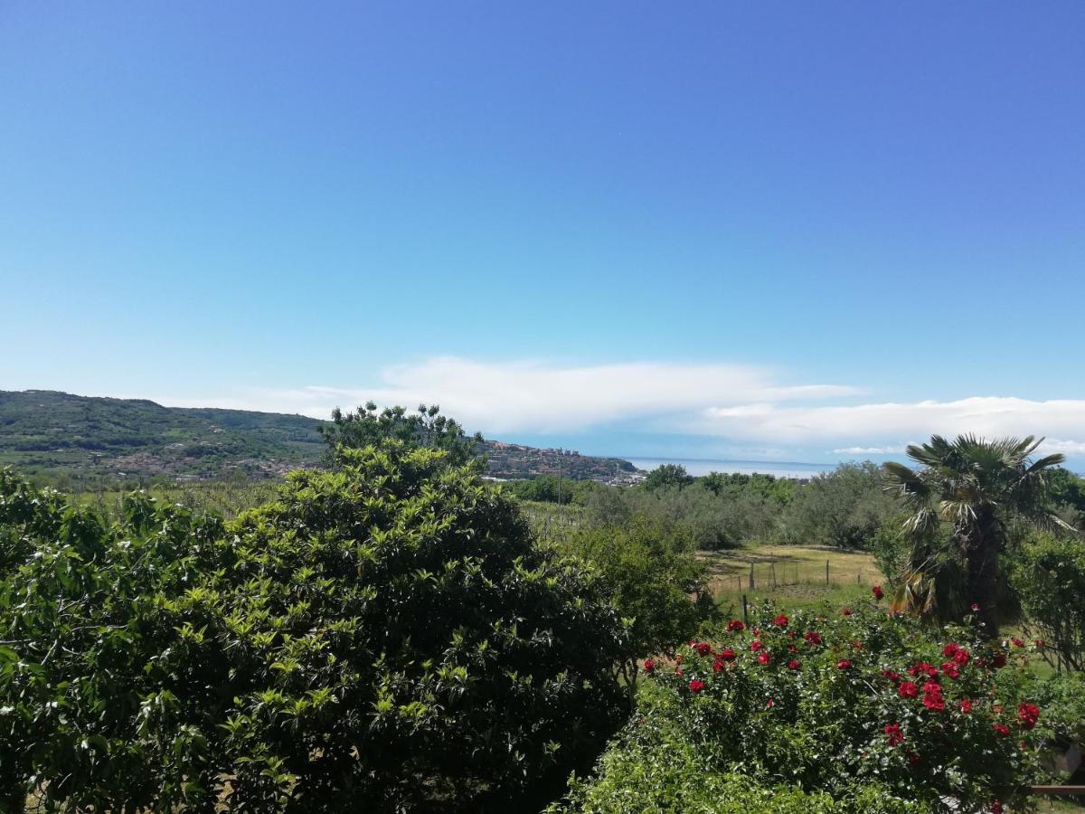 Peaceful View Apartment كوبر المظهر الخارجي الصورة