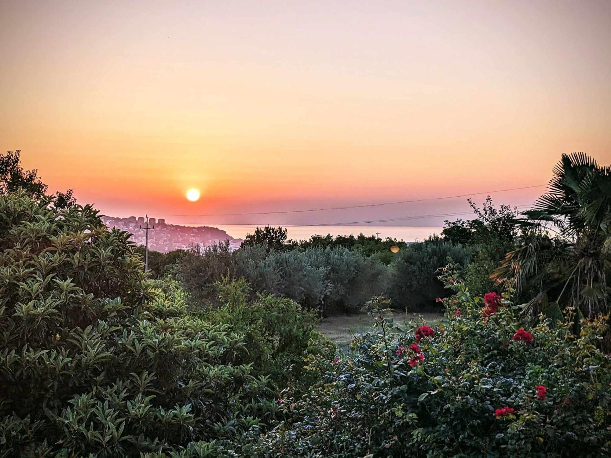 Peaceful View Apartment كوبر المظهر الخارجي الصورة