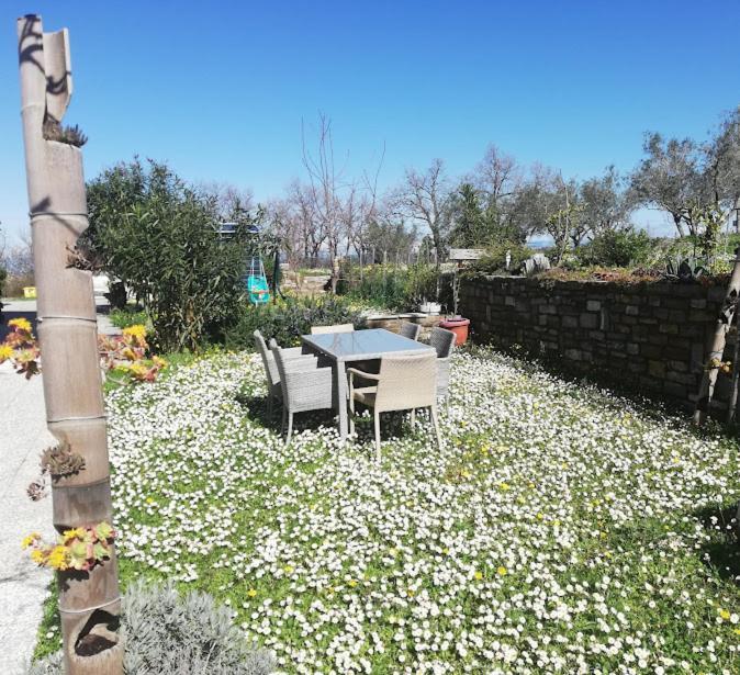 Peaceful View Apartment كوبر المظهر الخارجي الصورة