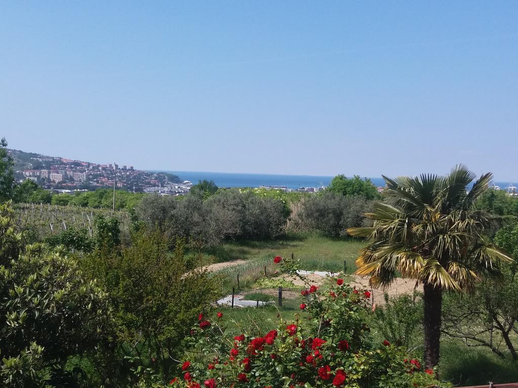 Peaceful View Apartment كوبر المظهر الخارجي الصورة