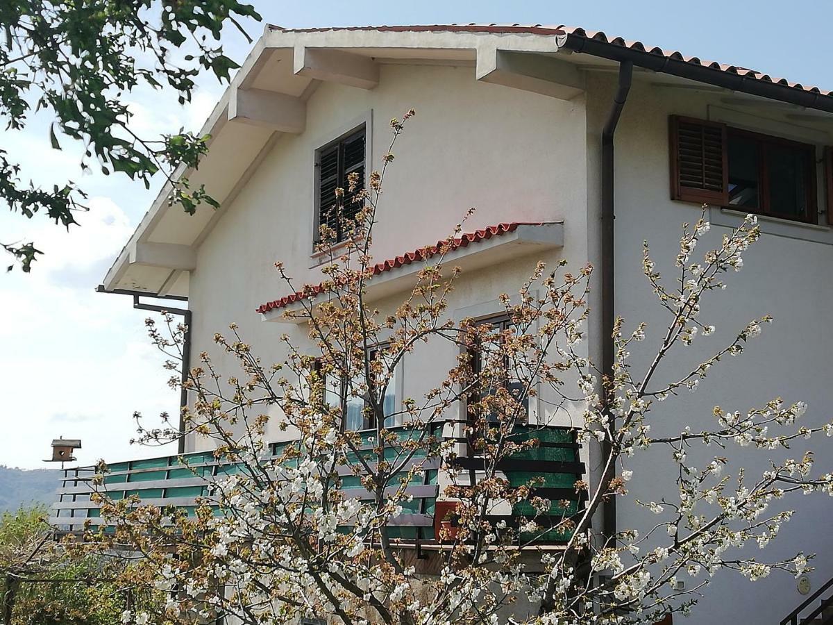 Peaceful View Apartment كوبر المظهر الخارجي الصورة